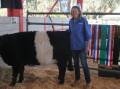 Hettie Biersteker, Silvan Park, Murrundindi, with her Belted Galloway Topsy at the Seymour Alternative Farming Expo. Picture by Philippe Perez