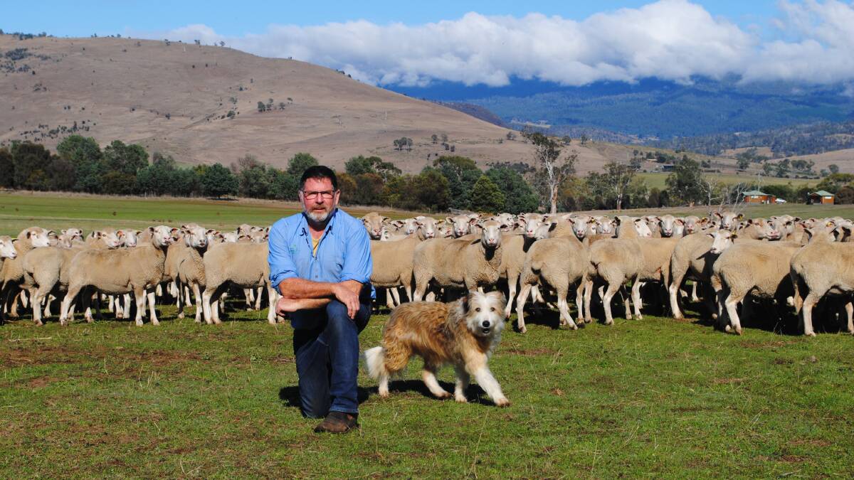 Mr Parsons said agritourism diversified his farm income and protected him from poor sheep prices and weather extremes. Picture by Barry Murphy 
