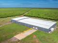 A four-farm mango growing business is for sale in the Northern Territory. Pictures from Colliers Agribusiness.