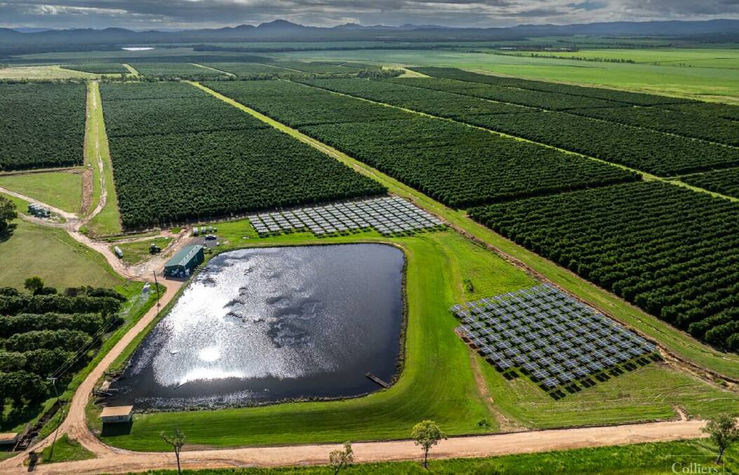Little Jalisco in Queensland includes 1106ha with 304ha of Hass avocado orchards with 7627 megalitres of water entitlements.