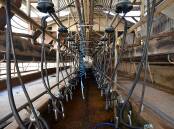 The dairy itself consists of a 16-aside herringbone with yard space for 200 cows. Pictures from H&G Real Estate.