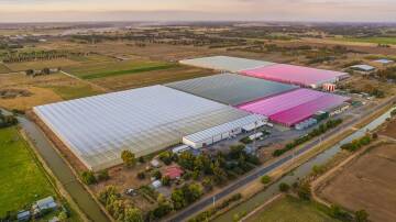 The Van den Goor family's 21 hectare Katunga Fresh glasshouse in northern Victoria. Picture from Centuria..