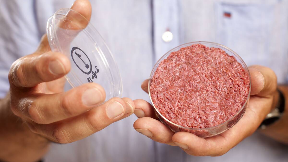 Beef bites: Lab protein a competitor for cheap meat