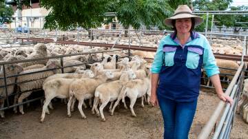 Donna Markey, Gilgandra, NSW, sold 19 Border Leicester lambs for $86 a head at Dubbo, NSW, on Monday. Picture by Elka Devney