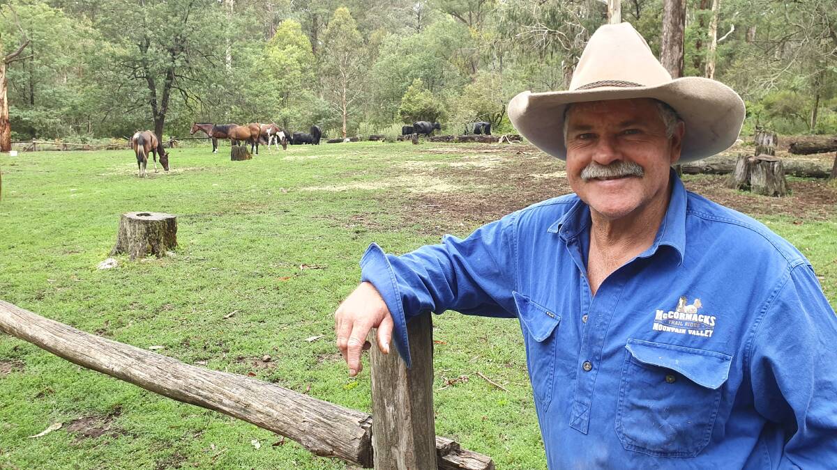 CATTLE CALL: Mountain Cattlemen's Association of Victoria president Bruce McCormack hopes the role of alpine grazing in fuel reduction will be considered by a bushfire royal commission. Photo by Rhyll McCormack.