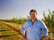GO.FARM chief executive and founder Liam Lenaghan which has partnered with Qantas Super for a $200 million investment that transforms underutilised land. Picture supplied. 