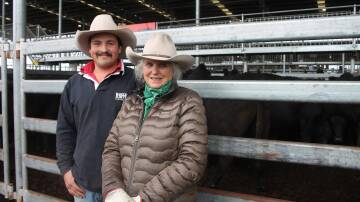 Cass Kimpton and Angus MacGillivray, Toora West, Dunkeld yarded over 500 cattle at Thursday's store sale. 
