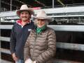 Cass Kimpton and Angus MacGillivray, Toora West, Dunkeld yarded over 500 cattle at Thursday's store sale. 