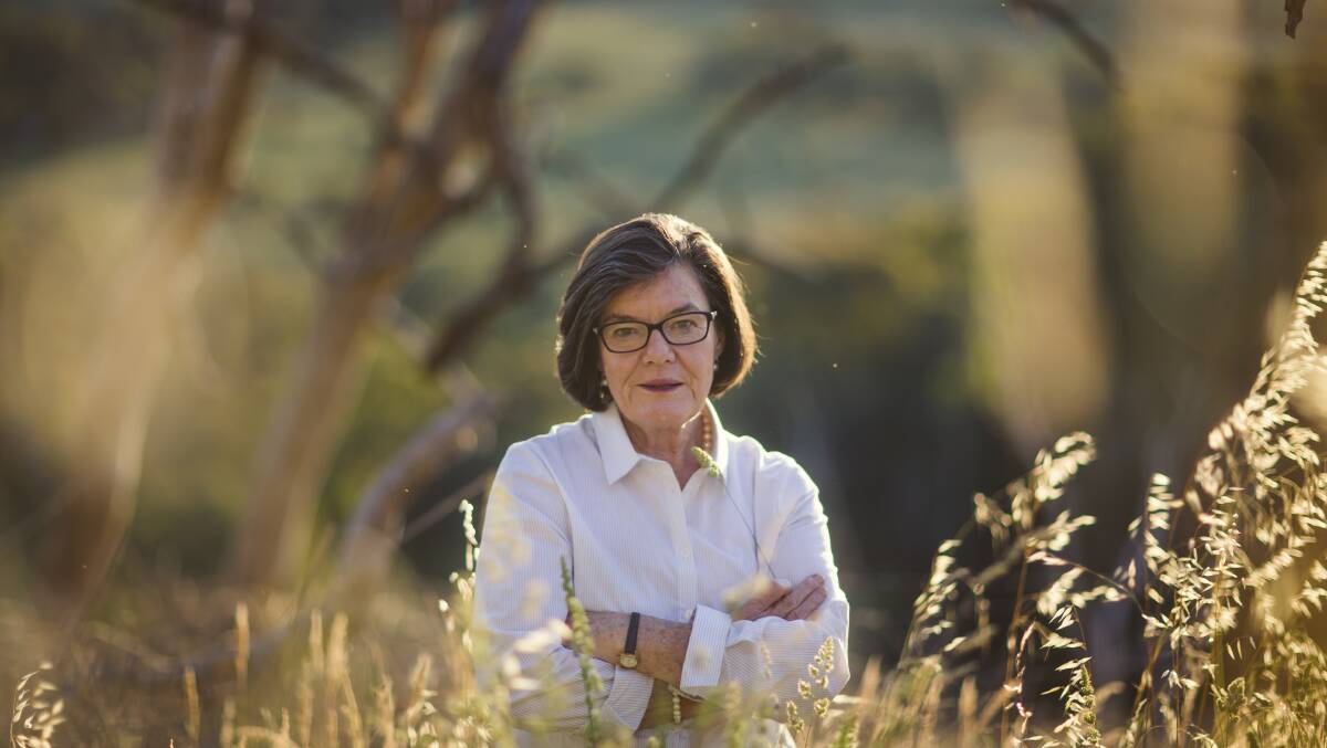 Cathy McGowan's experience in rural issues will stand her in good stead as chairwoman of AgriFutures Australia. Picture by Meredith O'Shea