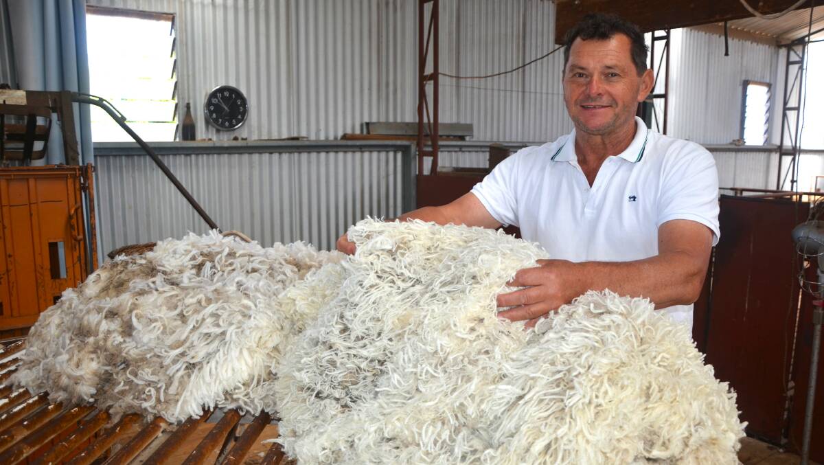 Pepper Well Poll Merino stud principal Hansi Graetz, Keyneton, SA, talks on maintaining wool quality while breeding plainer-bodied sheep. Picture by Vanessa Binks