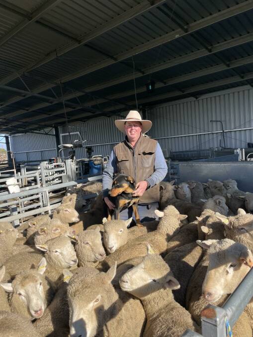 Victorian Farmers Federation livestock council president Scott Young has used electronic identification (eID) tags on his flock to improve growth rate. Picture supplied
