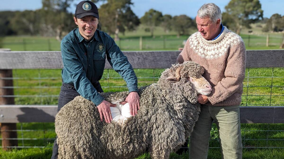 Clive and Stephen Silcock, Gringegalgona Merinos, say they're looking forward to a national rollout of electronic identification tags by January 1, 2025. Picture supplied