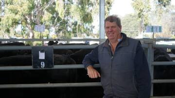 Robert Jones, Benalla, sold 50 steers and heifers at Euroa saleyards on Wednesday. 