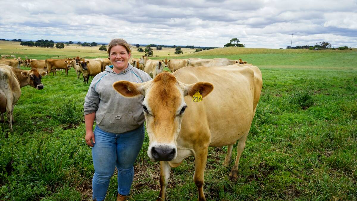 Sarah Chant, Warrion, says her dairy grew to milk 270-head of cattle after favourable milk prices. Picture by Rachel Simmonds