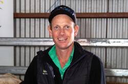 Nutrien livestock agent Jason Ward, Bendigo, says agents expected to yard 1200-head of cattle at its January weaner sale. Picture supplied 