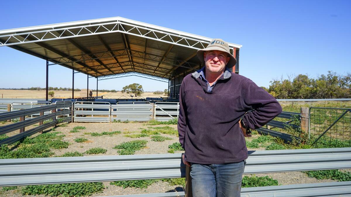 Alan Bennett, Lawloit, says the state government would have further planning and foresight to help protect livestock. Picture by Rachel Simmonds 
