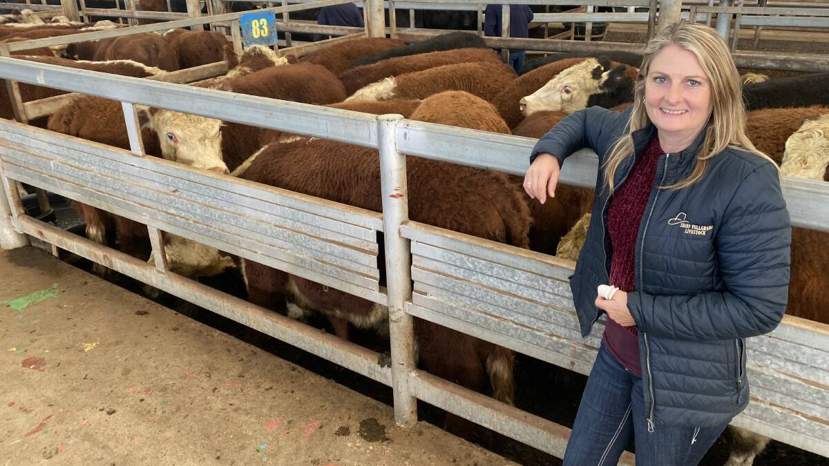 Bron Wellsmore, Bairnsdale, represented Forge's Farm, Oxley, which sold 69 steers at Leongatha's fortnightly store cattle sale. Picture by Holly McGuinness
