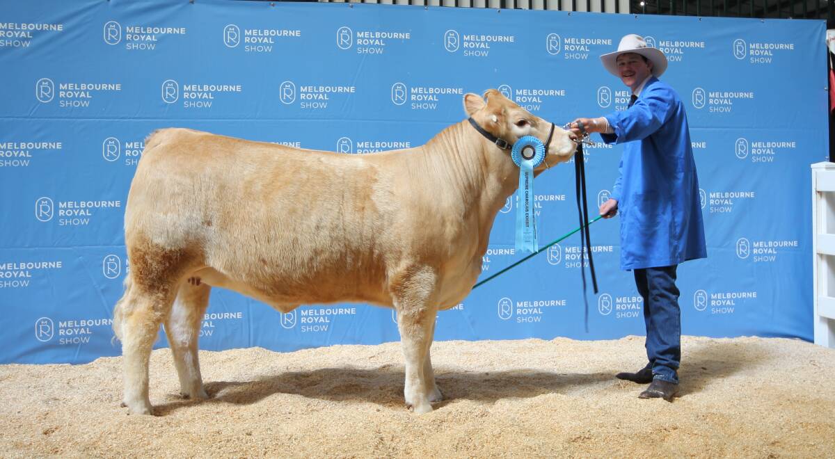 Charolais supreme exhibit, Golden Rose Fairy Floss and co-stud principal Murray Van Der Drift, Macorna. Picture by Holly McGuinness