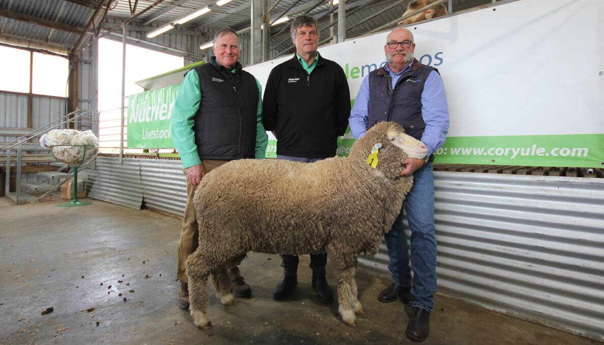 Stephen Chalmers and Ted Wilson, Nutrien, with Craig Trickey, Coryule Merinos, and top-price ram, Lot 1. Picture by Holly McGuinness
