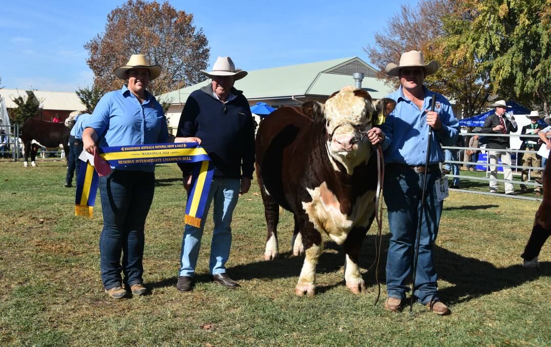 Reserve champion intermediate bull Granite Hill Toro T010, with Brittany Sykes, Mawarra B, Danny Hill, Granite Hill, Bungendore, and Kierin Martin, Kianma Poll Herefords, Forbes. Picture by Helen De Costa. 