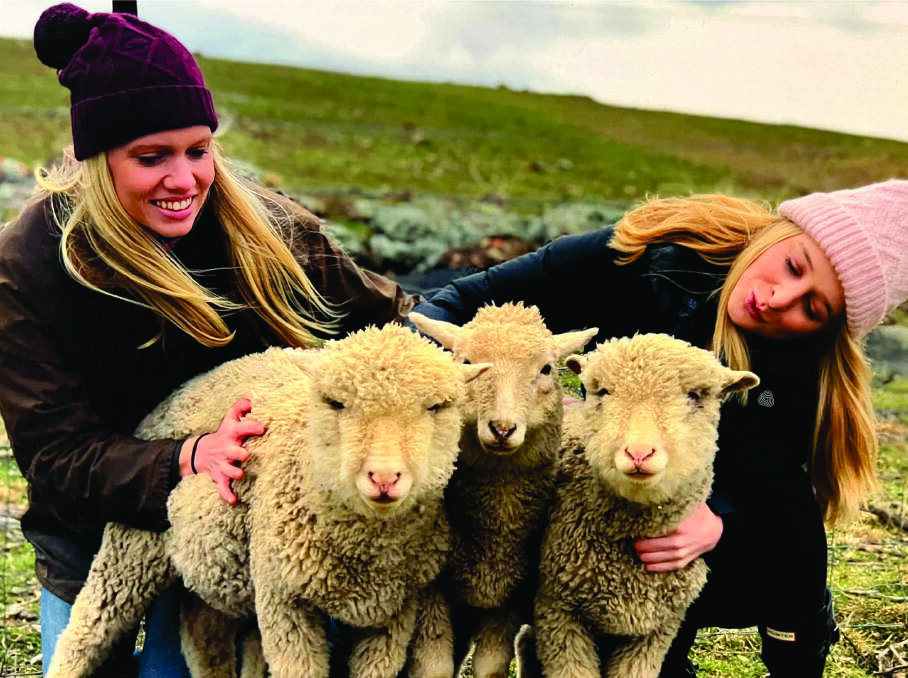 The image that is being used in Australian Wool Growers' Association's fresh sustainable wool push as it rejoins Australian Wool Innovation's The Sustainable Wool Campaign. Picture supplied.