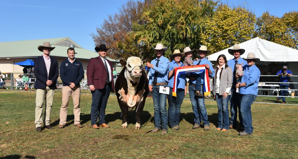 Grand champion bull Mawarra Whiteout T290 with Michael Crowley, Herefords Australia, Shane Bedwell, Kansas City, USA, Logan, Brittany, Carter, Brandon, Deanne and Peter Sykes and Kacey and Taylah Brunt, Mawarra Genetics. Picture by Helen De Costa. 