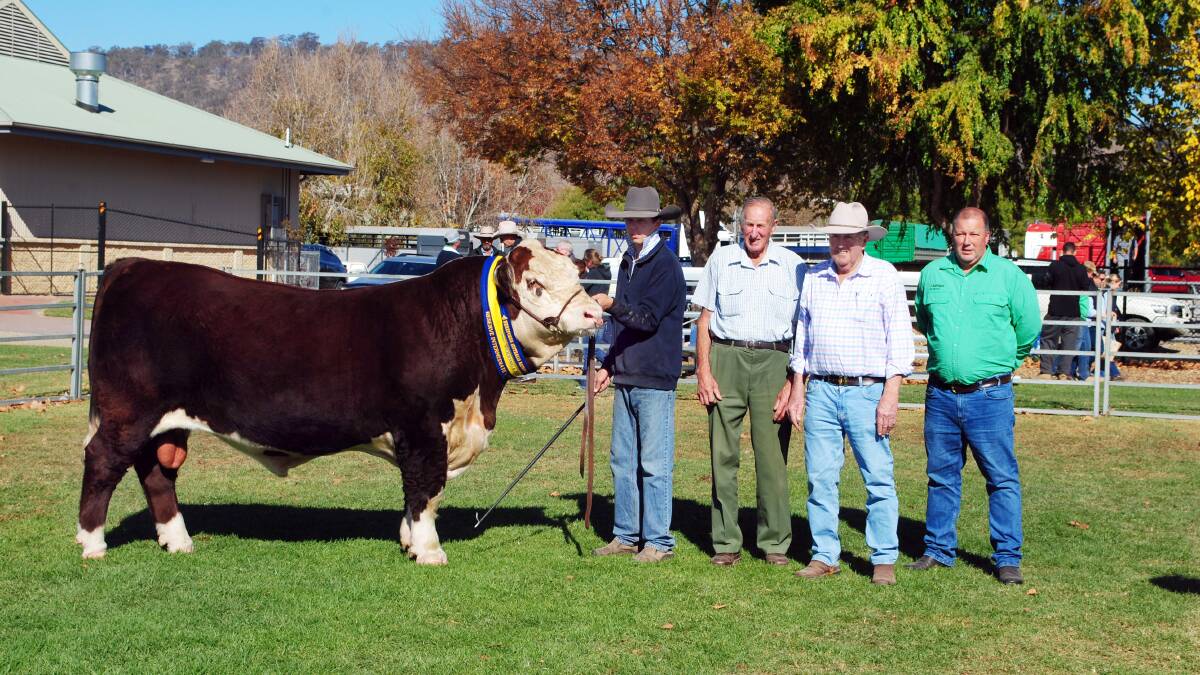 Granite Toro T010 with Jack Smyth, David Lyons, Milvale Park Poll Herefords, Vasey, Danny Hill Granite Hill Herefords, Bundendore and Tim Button Nutrien. Photo by Barry Murphy. 