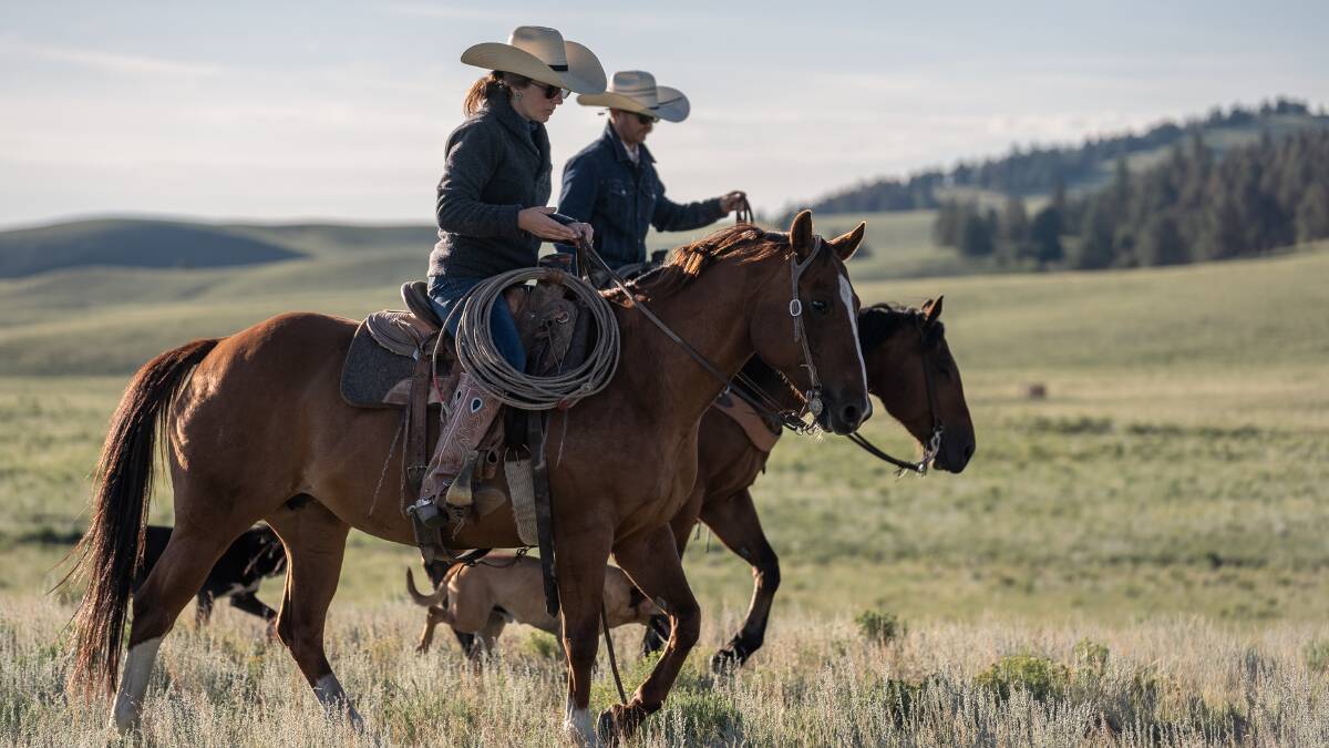 Cassidy and Bert Johnston, Colorado, US, manage a 1000-cow ranch and were first generation cattle farmers. Picture supplied