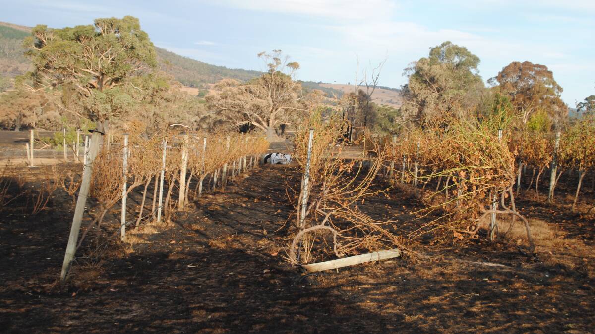 The damage caused by the bushfire at the Watson's property. Picture by Barry Murphy 