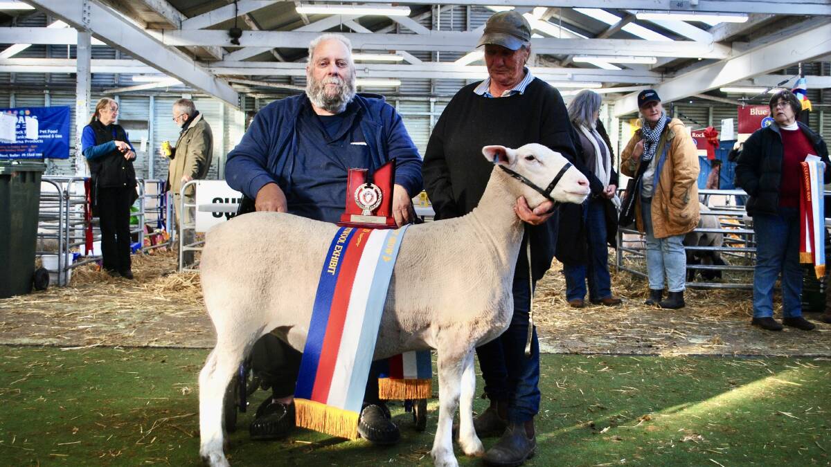 Ian and Julie Plumridge, Apsley, with their White Suffolk ewe which claimed the short wool interbreed supreme champion ribbon at the Victorian Sheep Show in Ballarat on Sunday. Picture by Barry Murphy 