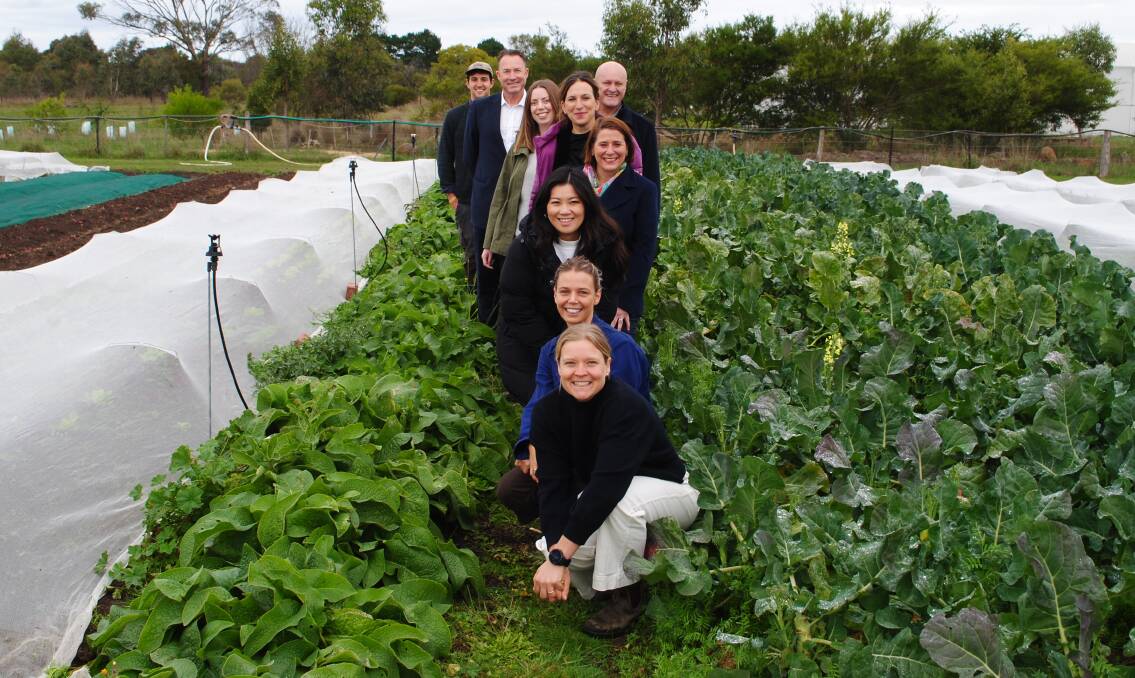 At the Common Ground Project farm outside Geelong were (from front to back) farm chief executive Felicity Jacob, food hub co-ordinator Amy Tacey, Nicole Werner MP, Juliana Addison MP, Jordan Crugnale MP, Martha Haylett MP, David Hodgett MP, Martin Cameron MP and farm manager Frazer Telfer. Picture by Barry Murphy 
