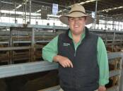 Nutrien agent Josh McDonald at the Mortlake saleyard. Picture by Philippe Perez