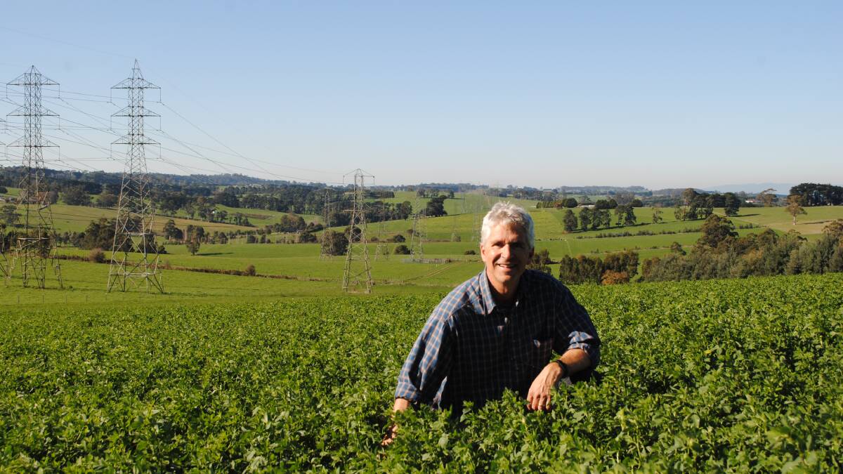 Mr Tepper planned to plant more trees over his lucerne crop. Picture by Barry Murphy 