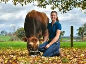 Empire Jerseys stud principal Holly Anderson, Drouin West, with her top bull, Empire Banks P. Picture by Kerrie Anderson