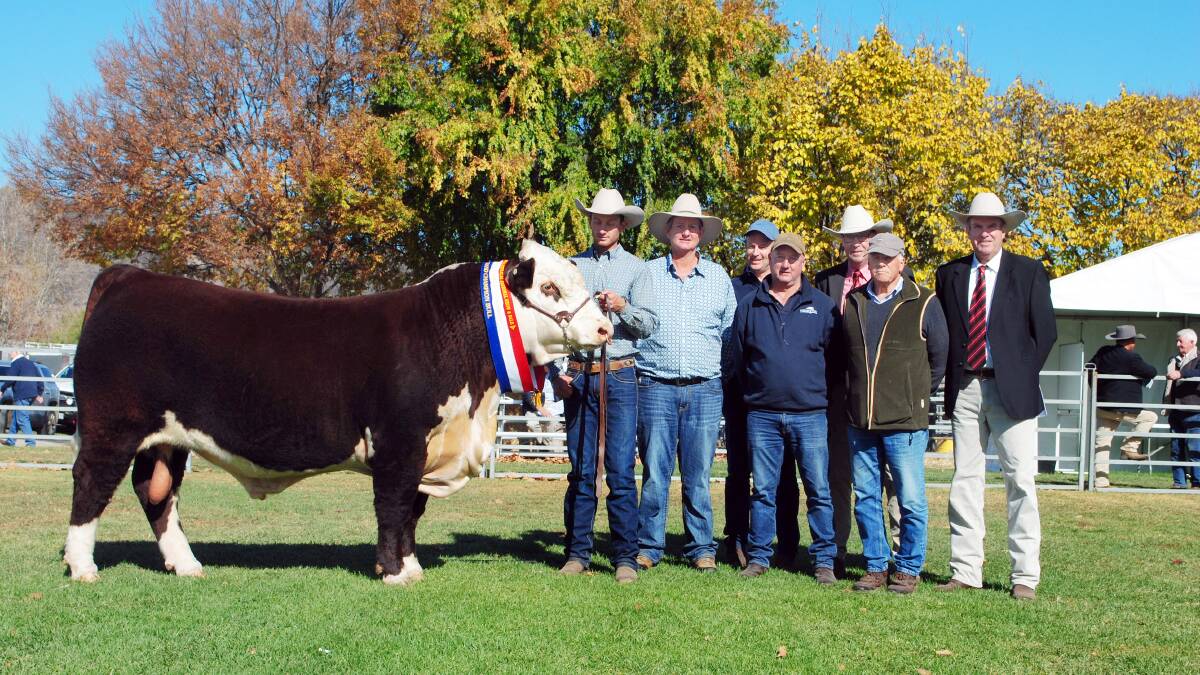 Grand champion and top-priced bull Mawarra Whiteout T290, with Logan and Peter Sykes, Mawarra Genetics, Longford, Craig Brewin, Mick Peterson and Anthony Baillieu, Yarram Park Herefords, Willaura, with Ross Milne and Paul Dooley, Elders. Photo by Barry Murphy. 