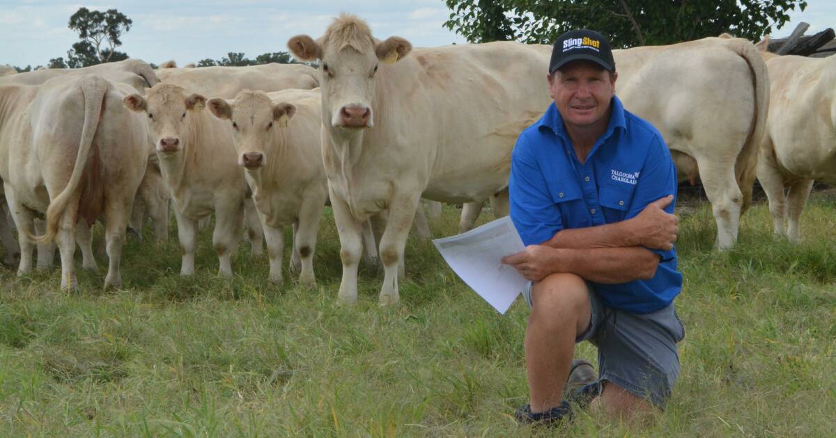 Stock & Land Beef Week day one photos southern NSW Stock & Land VIC