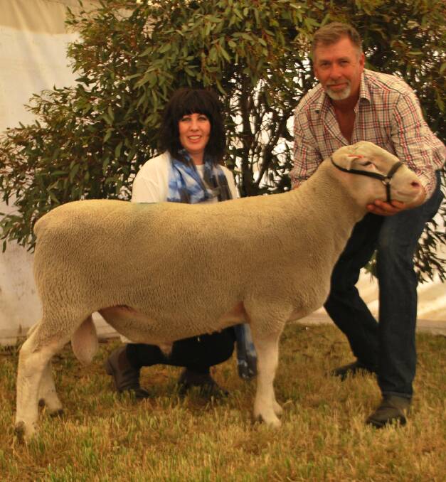 Detpa Grove principals Michelle and David Pipkorn with the $10,000 top-priced ram, DG140180 purchased via the phone by Bruce Buswell, Mt Barker, Western Australia.
