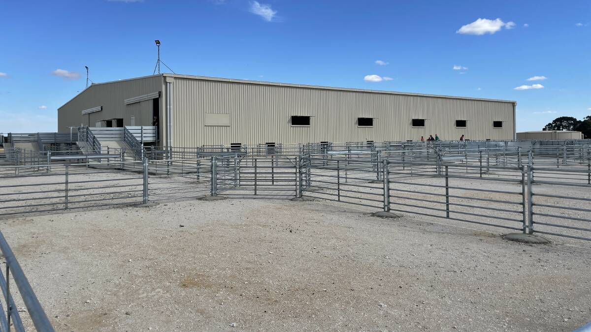 The outside of the new shed and the steel yards constructed by Australian Stockyards Company.