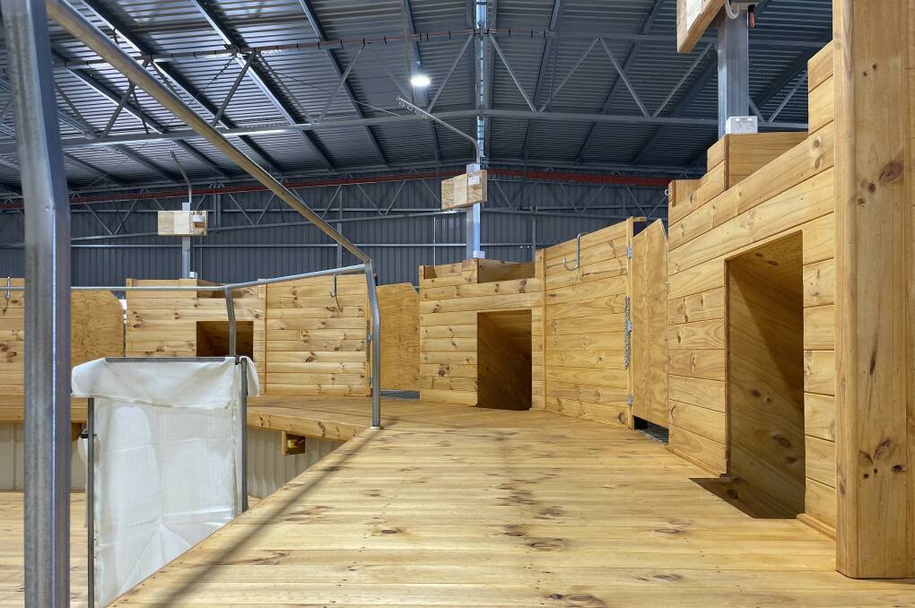 The curved raised board in the new Telopea Downs shed. Pictures by Catherine Miller