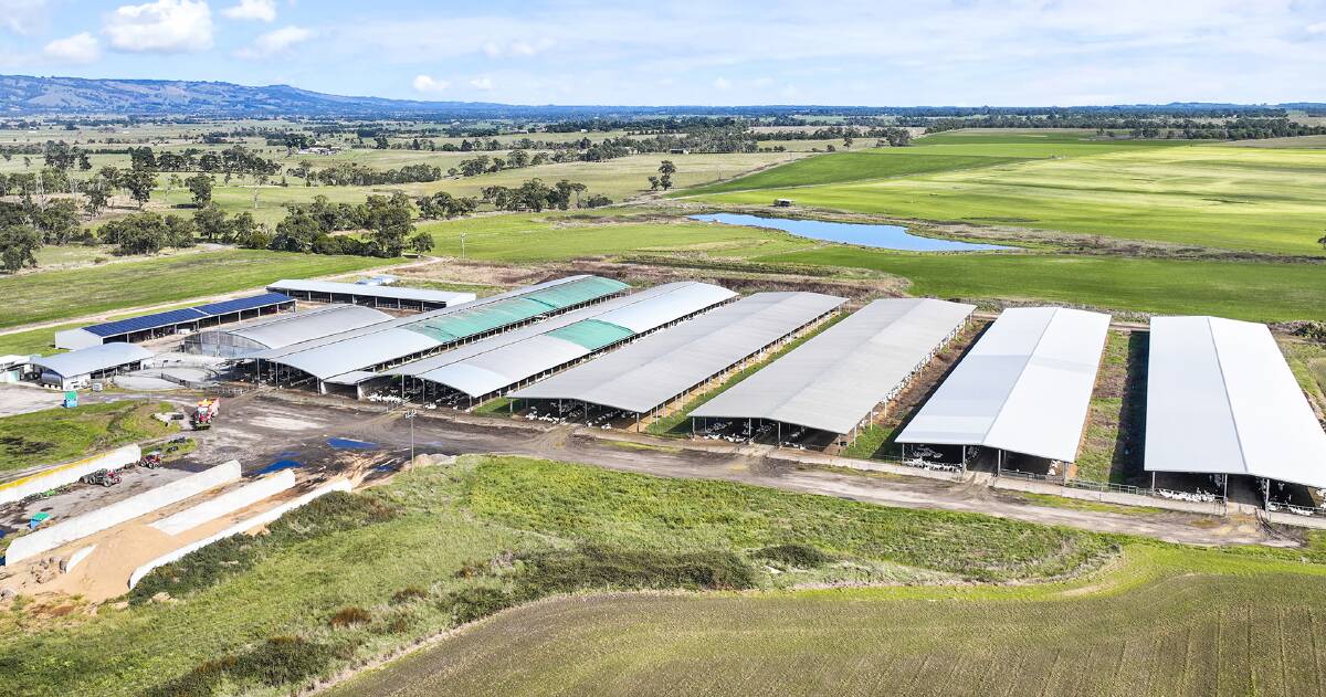 This well-known goat dairy farm in Gippsland is now on the market. Pictures from One Agency Coast to Coast