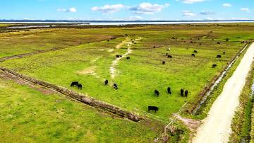 Coastal grazing land near Inverloch in West Gippsland generally comes at stellar price. Pictures from Alex Scott and Staff. 