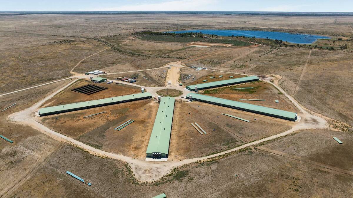 This egg factory has been built in a remote part of north west Victoria. Pictures from Elders Real Estate 