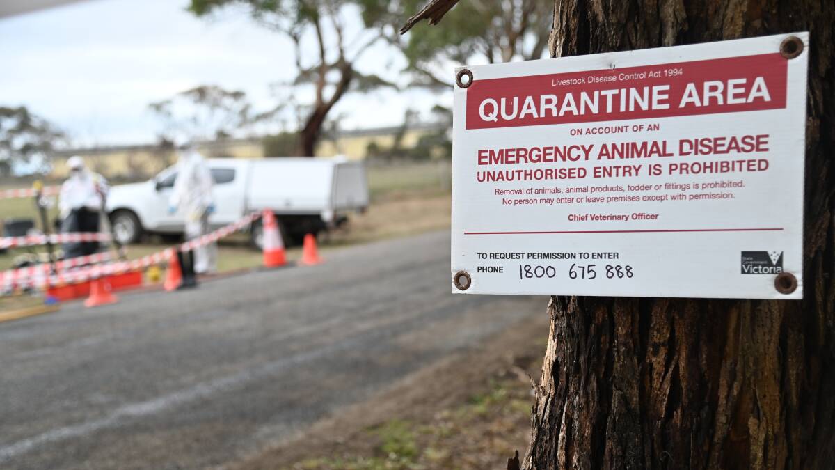 Quarantines, bird destruction and disinfection is Australia's response to bird flu outbreaks. Picture from Agriculture Victoria. 