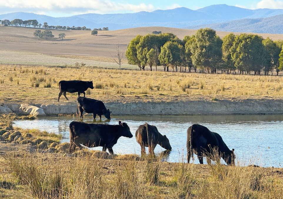 A versatile farm block in the Upper Murray is on the market for the first time in 170 years. Pictures from Inglis Rural Property.
