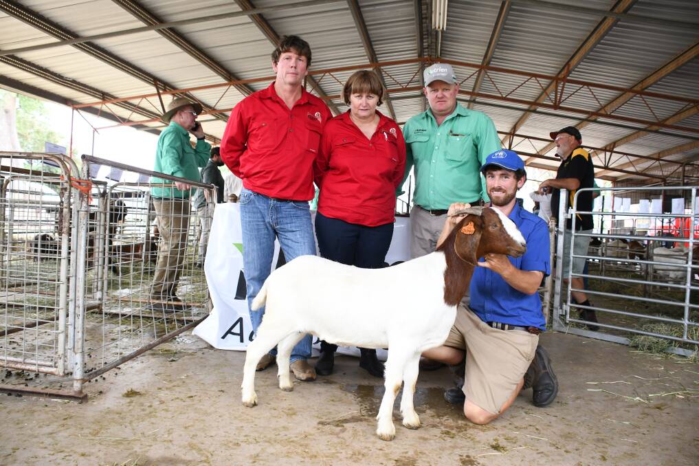 Buyers Nigel and Rowena Balderson of Bloodwood Boers at Barcaldine, John Settree of Nutrien Ag at Dubbo and Thomas Youlden, Valley Boers, with a top price purchase. 
