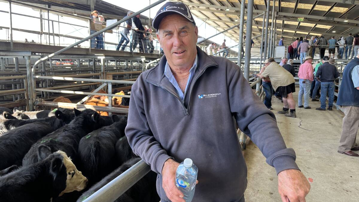 Bill Wyndham & Co auctioneer Colin Jones says steers were probably $150-200 a head dearer. Agents said end-of-financial year considerations may have driven the market, on what was a smaller yarding. Picture by Bryce Eishold