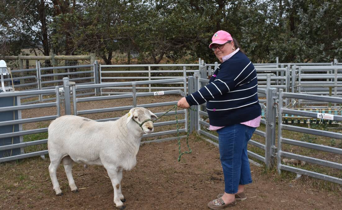 Banksia stud co-principal Deb Morrison with the top-priced ram from their recent sale. Picture by Andrew Miller