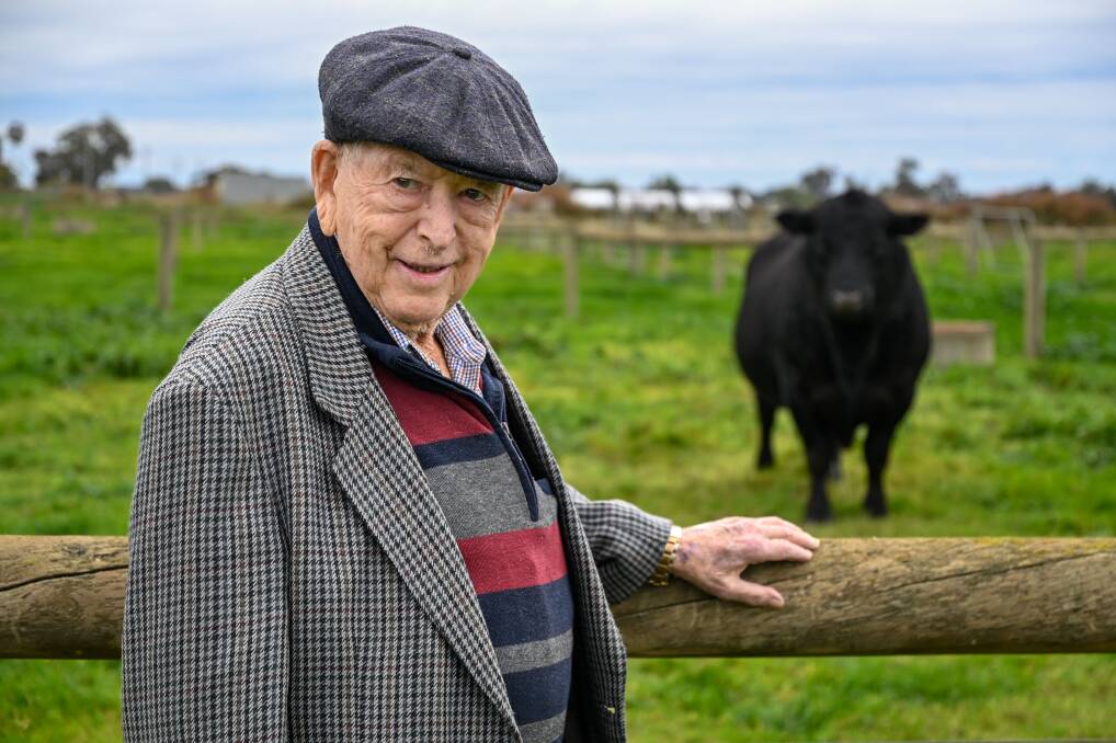 Lockington Angus breeder Phillip Collins has been awarded the Order of Australia Medal. Picture by Enzo Tomasiello