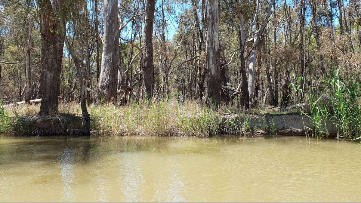 The Barmah Choke: the Murray-Darling Basin Authority is developing what it calls is developing what it calls a Constraints Relaxation Implementation Roadmap. File picture