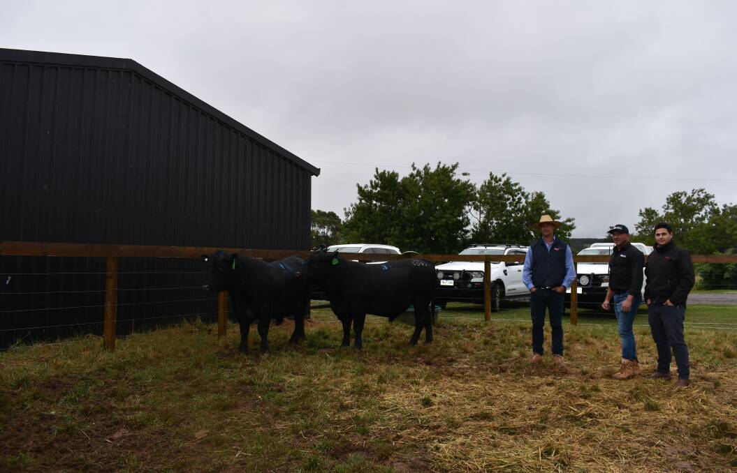 The two top-priced bulls with Alex Scott & Staff livestock manager David Setches, Pakenham, Absolute Angus principal Anthony Pisa and Elders stud stock representative Ryan Bajada, Bairnsdale. Picture by Andrew Miller